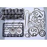 YIHETOP Complete Cylinder Head + Full Gasket Kit Compatible with Kubota D1005 Engine B2100 B2301HSD