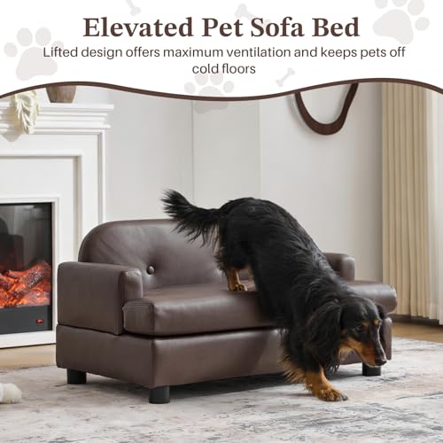 Elevated Pet Couch Waterproof