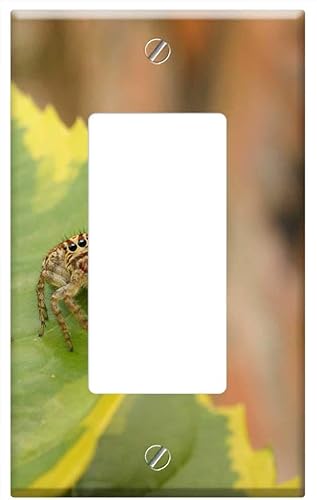 Switch Plate Single Rocker/GFCI - Nature Insects Spider The Virginia Quindio