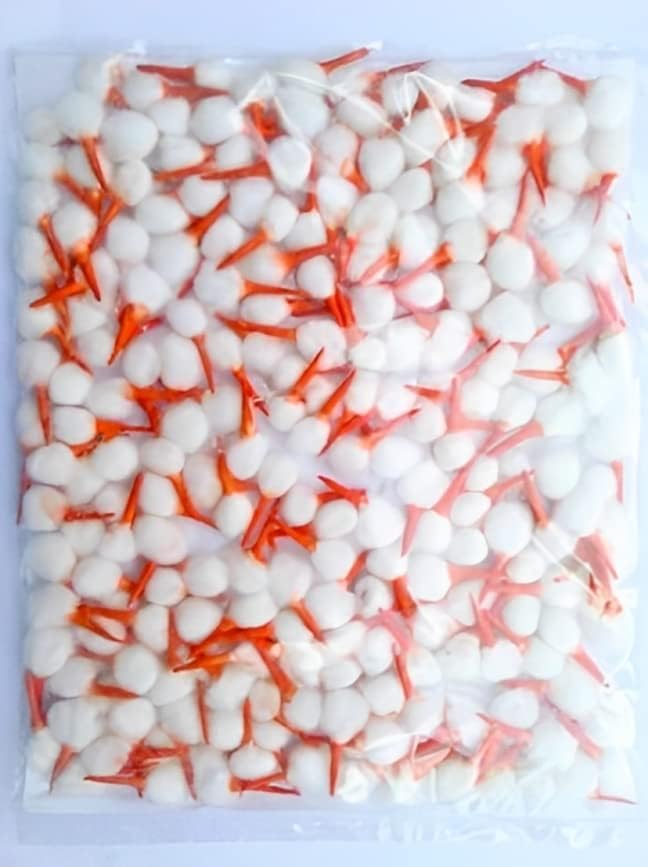 Round batti/Diya Cotton Wicks/Round Phool Wicks/Puja arti Rui/Baati Diya Bati Cotton Pooja aarti Wicks (Pack of 2500 pcs Cotton Wick)(Orange)