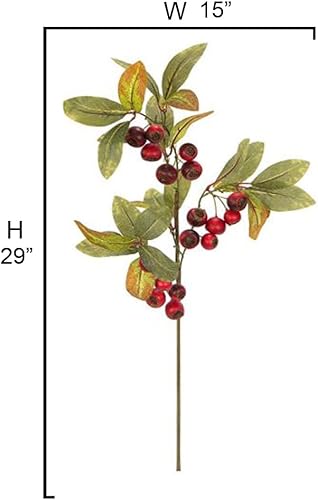 Miniatura 2 de Admired by Nature