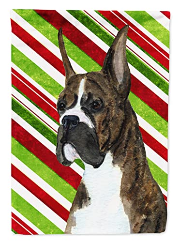 Drapeau Boxer de Noël résistant aux intempéries pour animer une entrée triste - 2