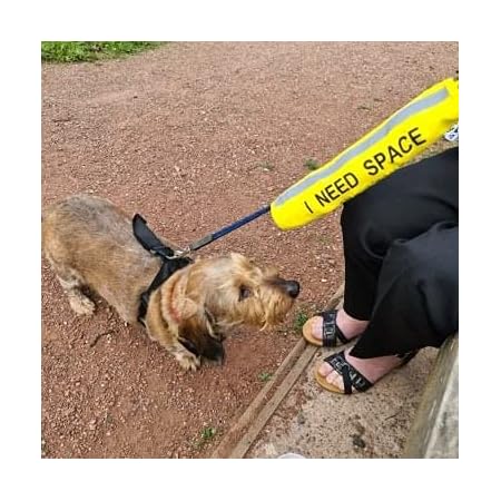 Dexil Nervous Give Me Space Maybe Unpredictable Yellow Warning Dog Colour Coded Luxury Padded Personalised 1 8m 6ft Lead Leash To Prevent Accidents Or Incidents Dog Award Winning Amazon Co Uk Pet Supplies