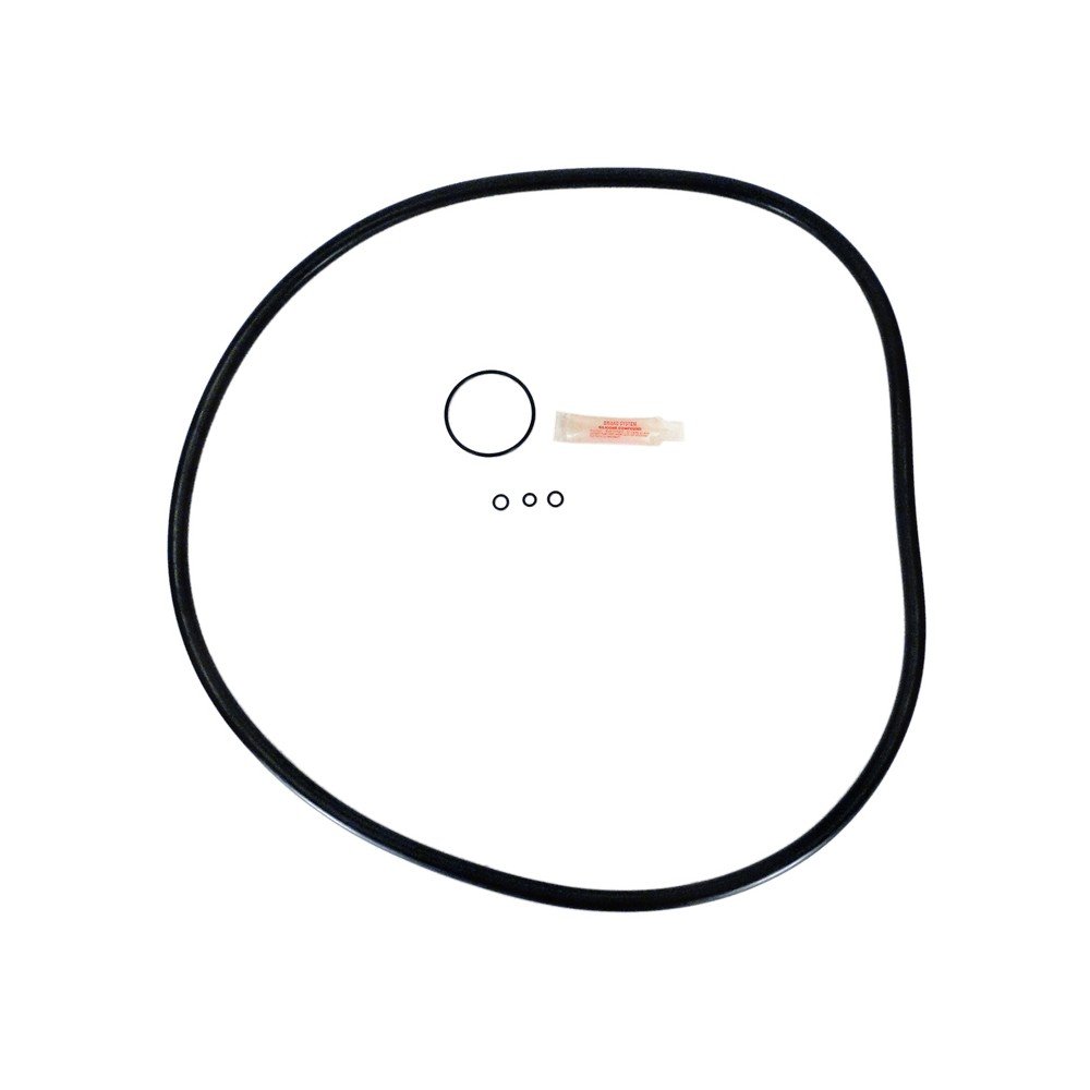 Hayward Micro-Clear DE Filter O-ring Kit - InTheSwim.com APCK1153