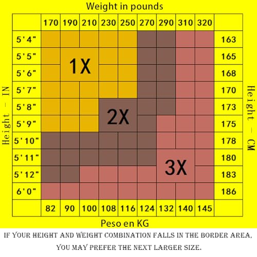 Women's 2 Pairs Plus Size Sheer Tights for Women - 20D Queen Size Control Top Pantyhose with Reinforced Toes4