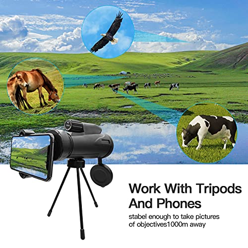 12X50 High Definition Monokular Fernrohr Teleskop, Monocular Teleskop wasserdicht mit Smartphone Halter und Stativ für… – Bild 4