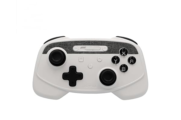 Jowua Multi-Device Wireless Controller Compatible for Tesla Model 3/Y/S/X/cybertruck Compatible for Switch, one controll