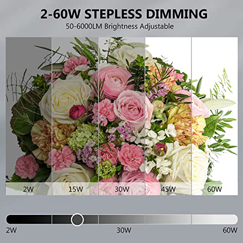 Photo Light Box Photography, Takerers Bi-Color Dimmable 24 X 24 Inch Background Studio Shooting Tent Kit, 6 Color Backdrops, Foldable Picture Lightbox With 240 Led, 3000-6500K Lighting Booth #TOP2