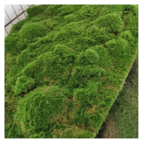 DTVEW Wedding Home Backyard Balcony Indoor Outdoor Decor 39inch Terrace