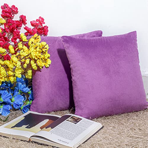 Image of Cazimo Velvet Cushion Covers for Bed, Sofa and Couch - 16 * 16 inches | Ideal for Living Room | Set of 2, Pink