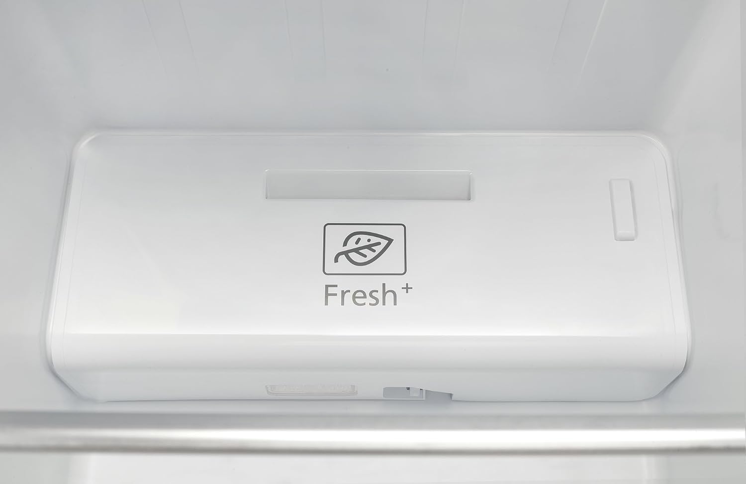 Close-up of the Fresh+ drawer in the refrigerator