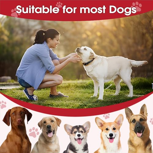 2 Stück Hundehalsband, Nylon Reflektierendes Hundehalsband Paracord Halsband Hund Verstellbare und Reflektierend Wasserfest 2cm Breite für kleinen Training Schwarz (28-38cm)