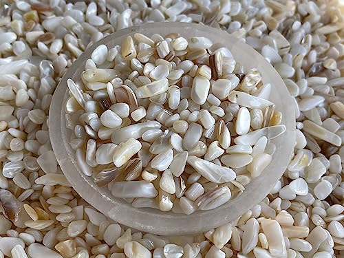 Image of GAF TREASURES 2 oz Lot Natural Semi Tumbled Gemstone Chips, Crushed Mini Crystals, Undrilled Crystal Chips (Mother of Pearl)