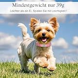 Hundehalsband mit Namen Telefonnummer - Halsband Hund Personalisiert, Bequeme, Einzigartige Halsbänder, Geeignet für Kleine, Mittelgroße und Große Hunde und Katzen(S,Blau)