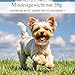 Hundehalsband mit Namen Telefonnummer - Halsband Hund Personalisiert, Bequeme, Einzigartige Halsbänder, Geeignet für Kleine, Mittelgroße und Große Hunde und Katzen(S,Blau)