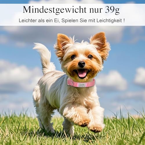 Hundehalsband mit Namen Telefonnummer - Halsband Hund Personalisiert, Bequeme, Einzigartige Halsbänder, Geeignet für Kleine, Mittelgroße und Große Hunde und Katzen(S,Braun)