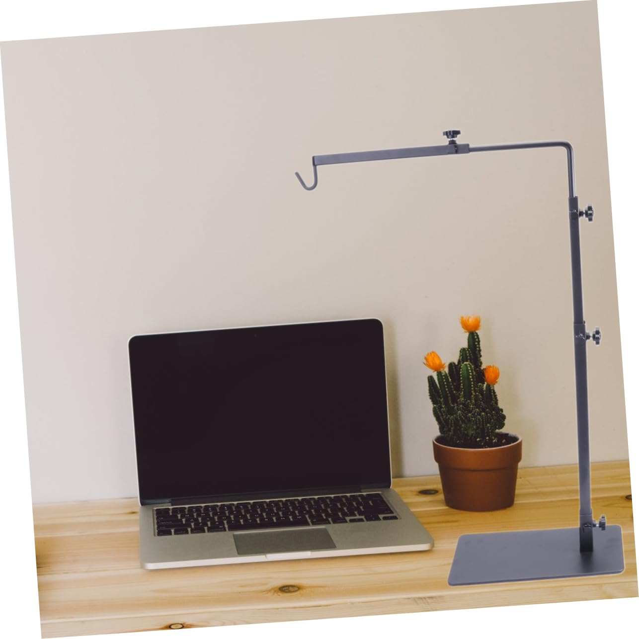 Supporto Lampada Basking per Rettili e Tartarughe, Ferro | Nero, per Acquario e Fish Tank, Struttura da Terra Funzione di Sostegno Luci