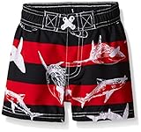 iXtreme Baby Boys' Stripe with Shark Swim Trunk