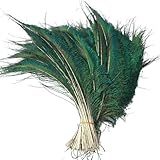 Plumas de pavo real 20 unidades. Tamaño: 30 – 40 cm, por lo que proporciona una cantidad suficiente.