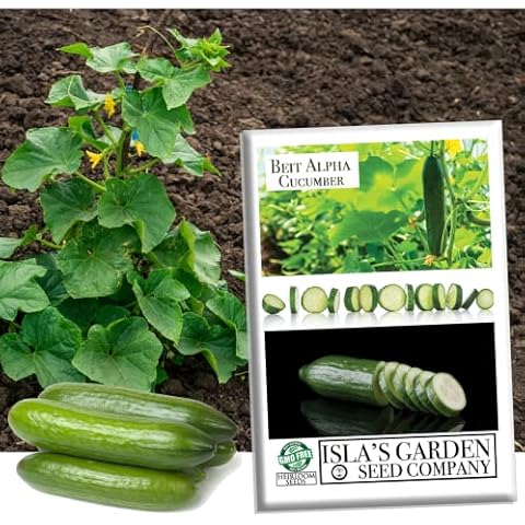 Isla's Garden Beit Alpha Cucumber Seeds Cover