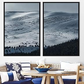 signwin 2 Piece Framed Canvas Wall Art Monochromatic...