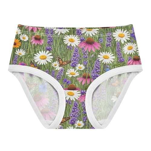 Girls Underwear Toddler 2t Cotton Panties for Girl Animal Briefs Girls Undies Vibrant Wildflowers Purple Butterflies