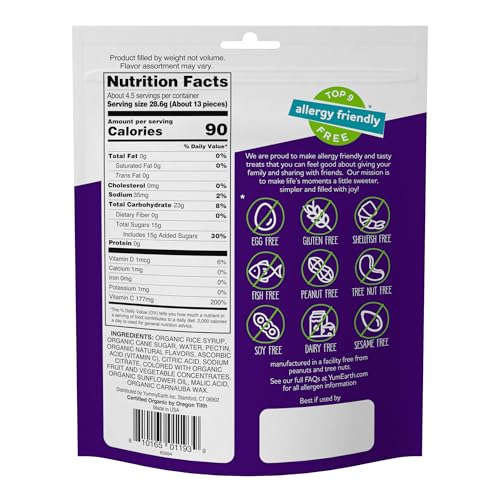 Image of YumEarth Organic Fruit Snacks, 5oz. (Pack of 6), Allergy Friendly, Gluten Free, Non-GMO, Vegan, No Artificial Flavors or Dyes,5 Ounce (Pack of 6)
