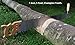 Lynx 3 foot, One Man Crosscut Saw (Champion Tooth) - Made In Sheffield England