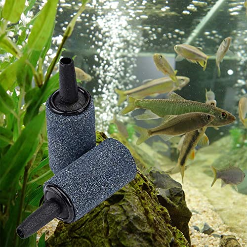 COOMATEC 50 Pack 1 Inch Air Stone, Fine Aquarium Air Stones, Cylinder Bubble Diffuser Airstone Fish Tank Bubbler Air Pump Accessories for Aquariums Hydroponics Grey (50 Pack)