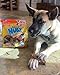 Nylabone Nubz Natural Dog Chew Treats for Large Dogs, Long Lasting Dog Bones Made in USA, Chicken Flavor Breath Freshener Dental Chews, For Dogs Up to 50 lbs. (18 Count)