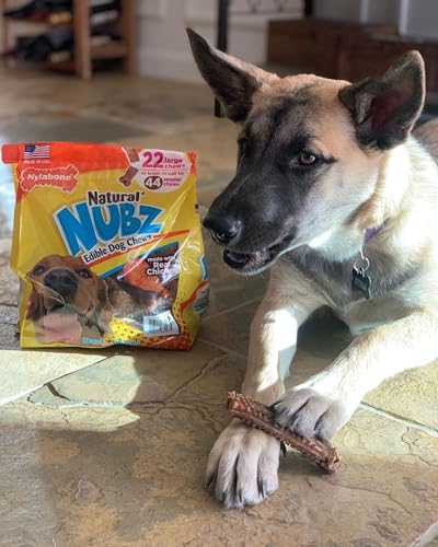 Image of Nylabone Nubz Natural Dog Treats, Long Lasting Chew Bones, Made in the USA, Chicken Flavor Breath Freshener, Large Bones for Dogs Over 30 lbs. (18 Count) | Long lasting dog chews, made in the USA, limited ingredients, highly digestible, dog dental treats for large dogs 30+ lbs