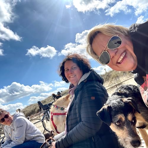 Page de couverture de Die drei Damen von Grill