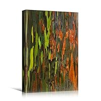 Canvas Wall Art Brushstroke Patterns Abstract Colorful Geometric Hallway Minimalist Mixed Media Multicolor Patterns - 12x18 inches