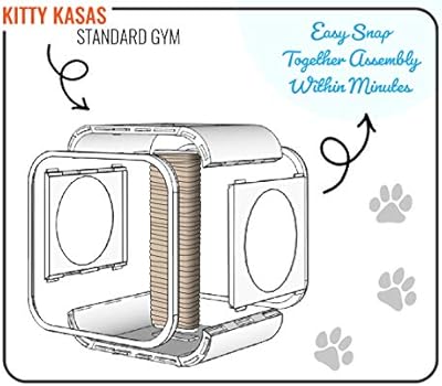 kitty kasas gym cube