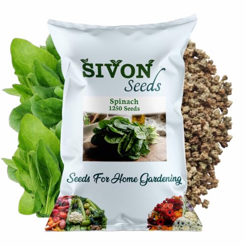 Image of SIVON Spinach (Palak /Poi Sagh) (1250+ Seeds) Vegetable Seeds for Home Garden, Organic & Hybrid, Perfect for Home Gardening, Planting For Pots and Patio