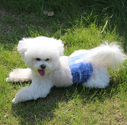 Joydaog 3 Pack Jean Belly Bands For Male Dog Diapers Reusable Belly Wrap M #TOP1