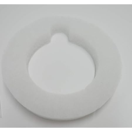 Amazon.com: FilterQueen 1404000400 repuesto de filtro de silencio,  compatible con aspiradora Majestic Canister, pieza OEM : Hogar y Cocina