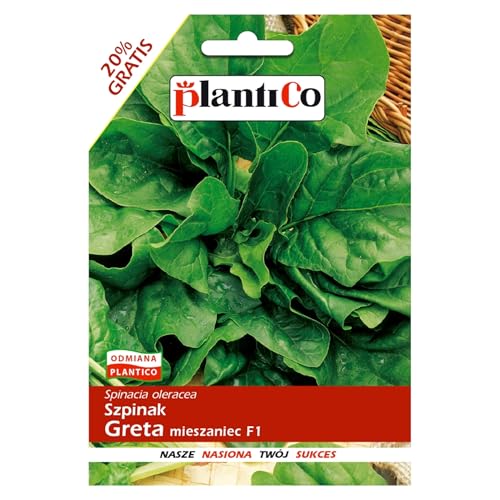 PlantiCo Espinacas Greta F1 10g Semillas Semillas de Espinacas Robustas Semillas de Hortalizas Semillas de Hortalizas Semillas de Cultivo Huerto de Invernadero