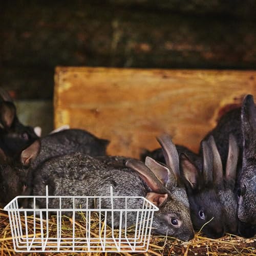 Soportes para comedero de conejos sin rebabas y seguros 7