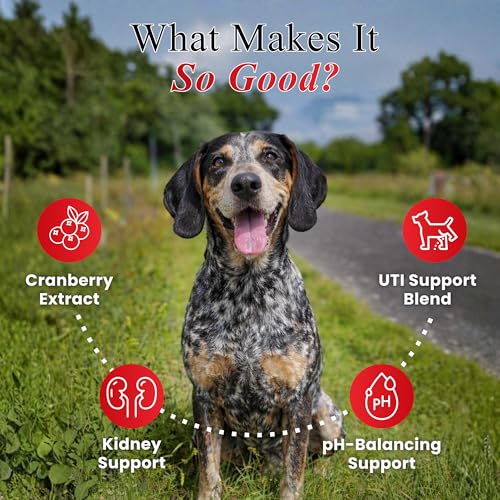 Image of Petroyale Cranberry Chew Tabs for Dogs - Dog UTI Health Supplement - Better Urinary Tract & Bladder Function - Antioxidant, Anti-Inflammatory - for Dogs of All Breeds (60 Soft Chews)