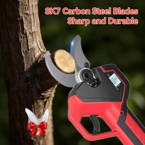 Forbici Potatura A Batteria Con Asta Telescopica 2,4M: 40Mm Forbice Potatura A Batteria Con Motore Brushless, 2 Batterie Da 2000Mah 21V, Cesoie A Batteria Per Potatura Per Ulivi, Vigneti, Giardino - 3