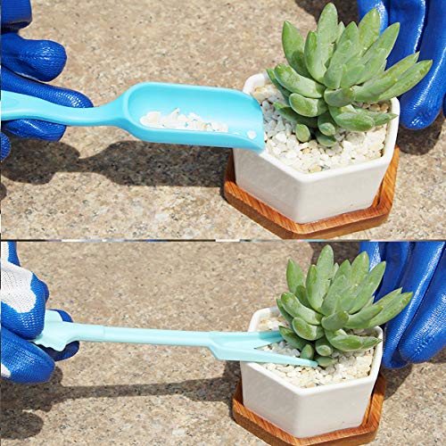 Ferramentas de cultivo de plantas suculentas duráveis Cabilock 12 peças Ferramentas de cultivo de pl