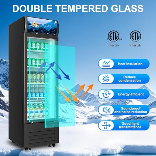 Commercial Beverage Refrigerator 1 Glass Door, 8.8 Cu.ft Commercial Upright Display Merchandiser Refrigerator, Beverage Cooler with LED Light, Lock Wheels, Adjustable Shelf for Bar, Shop - Image 6
