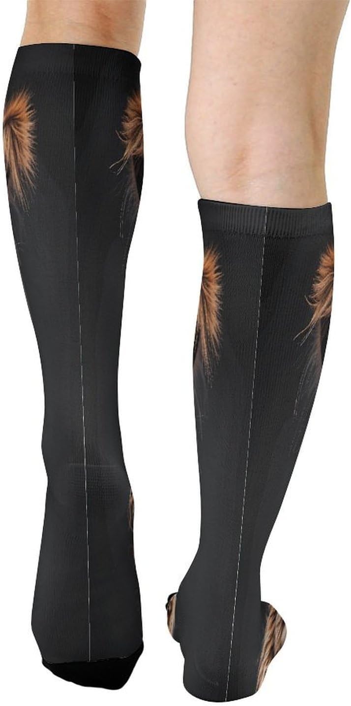 Alpaca Llama Compression Sock Breathable Support Socks Lightweight Knee High Tube Socks for Women Men