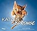 Produktbild Katzensprünge