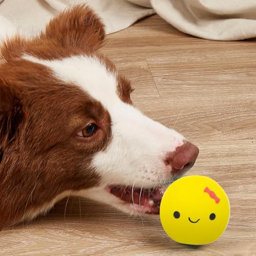 Eierbälle für Hunde, Spielzeug für Welpeneier | Quietschendes süßes Ei in Puppenform für Haustiere, Kauei aus Latex und Gummi - Vierfarbiger Hundeball mit quietschendem Ei für kleine und mittelgroße H