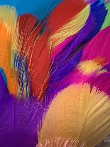 Zebra Balloons Mixed Pastel Feathers, 100 Pack