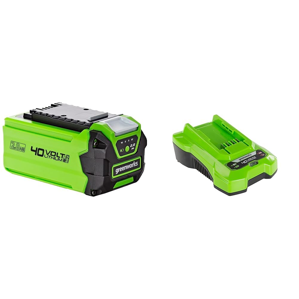 Greenworks G40B2 - Batteria 4 V, 2 Ah + Caricatore, 2932507