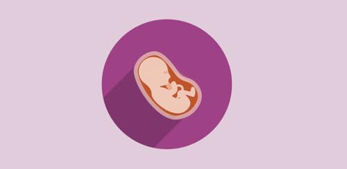 Pregnant Food - Eat or Avoid