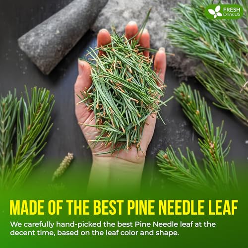Image of FreshDrinkUS, Premium 8oz Pine Needle Leaves Powder, 100% Natural & Pure, Herbal Tea, Daily Infusion Botanical, No Sugar, No Caffeine, No Gluten, Vegan.